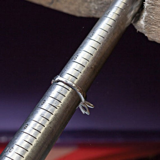 Ring Resizing in Just One Day