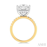 1/3 ctw Princess Shape Round Cut Diamond Semi Mount Engagement Ring in 14K Yellow and White Gold