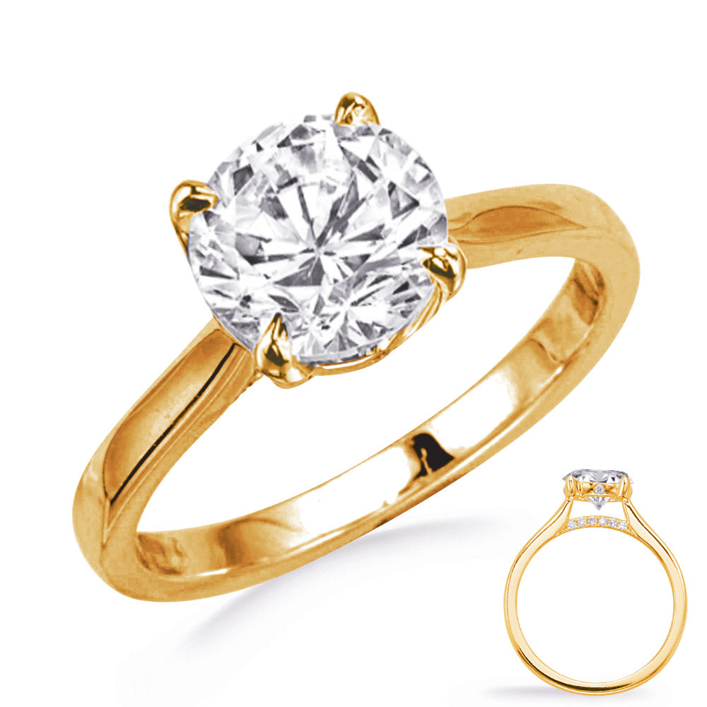 Iris Delicate Hidden Bridge Engagement Ring
