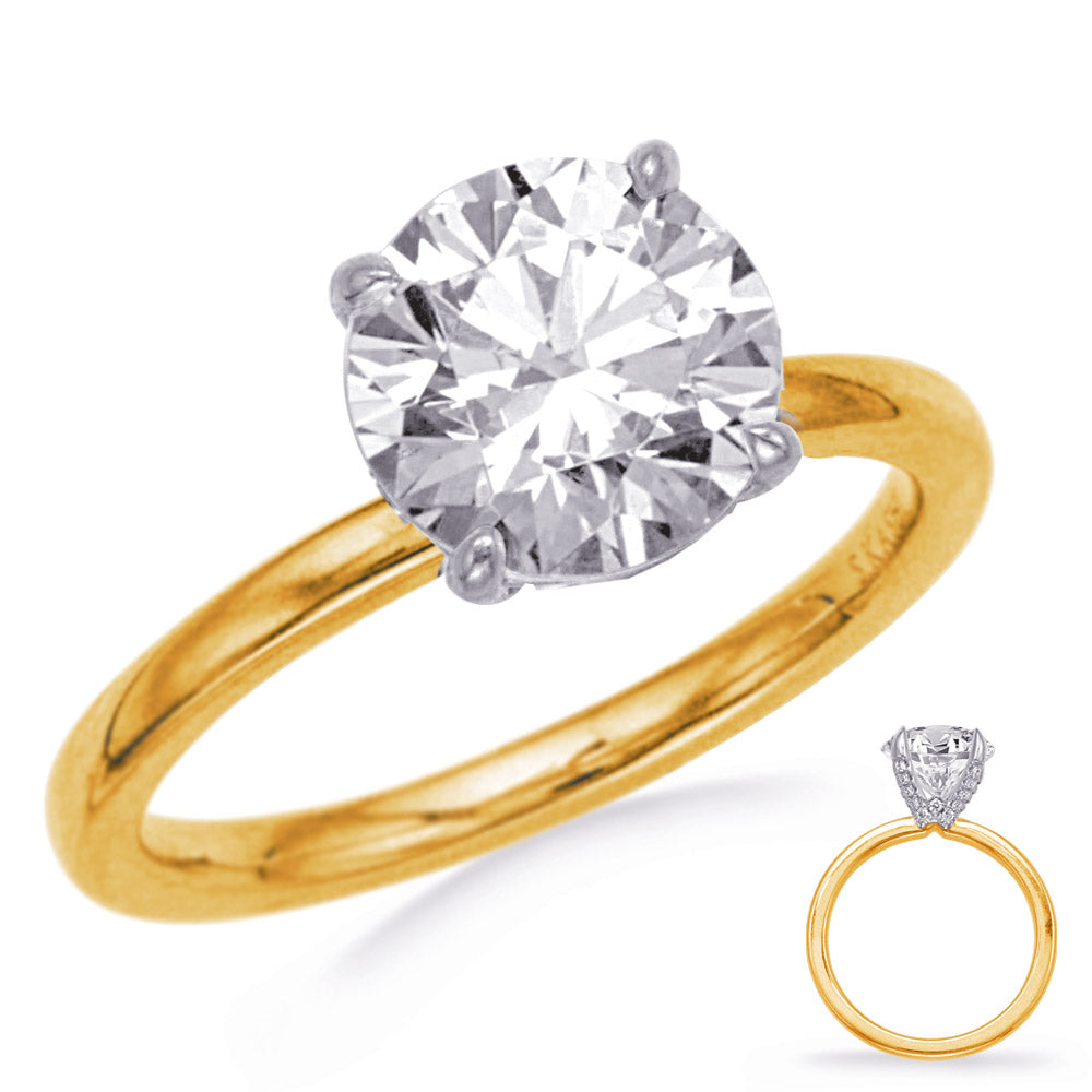 Diana Hidden Collar Solitaire Engagement Ring