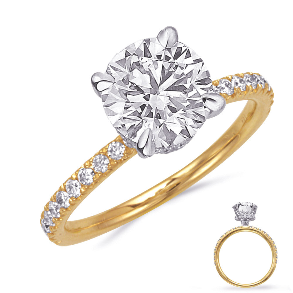 Serena Two-Tone Hidden Halo Engagement Ring