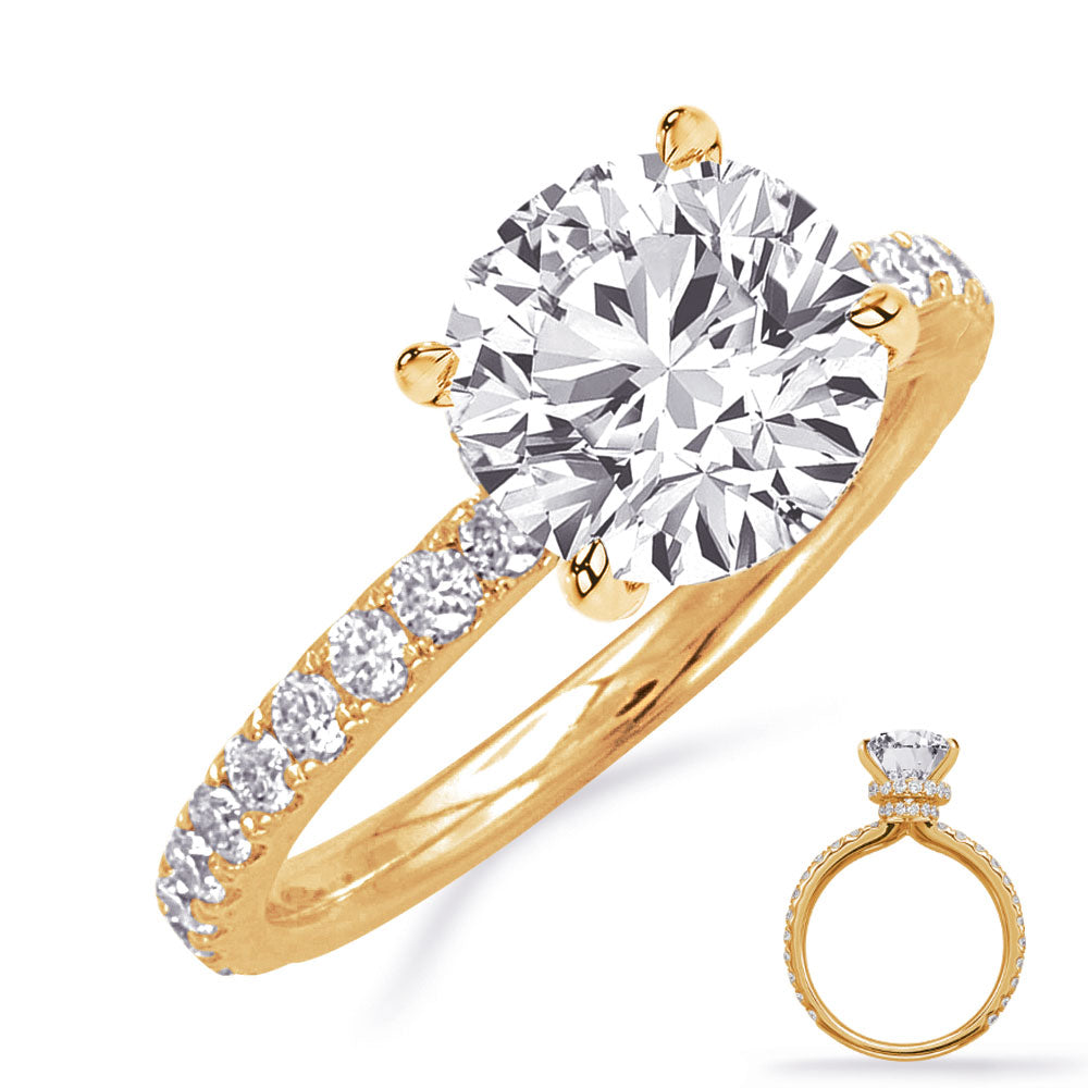 Aria Hidden Halo Engagement Ring