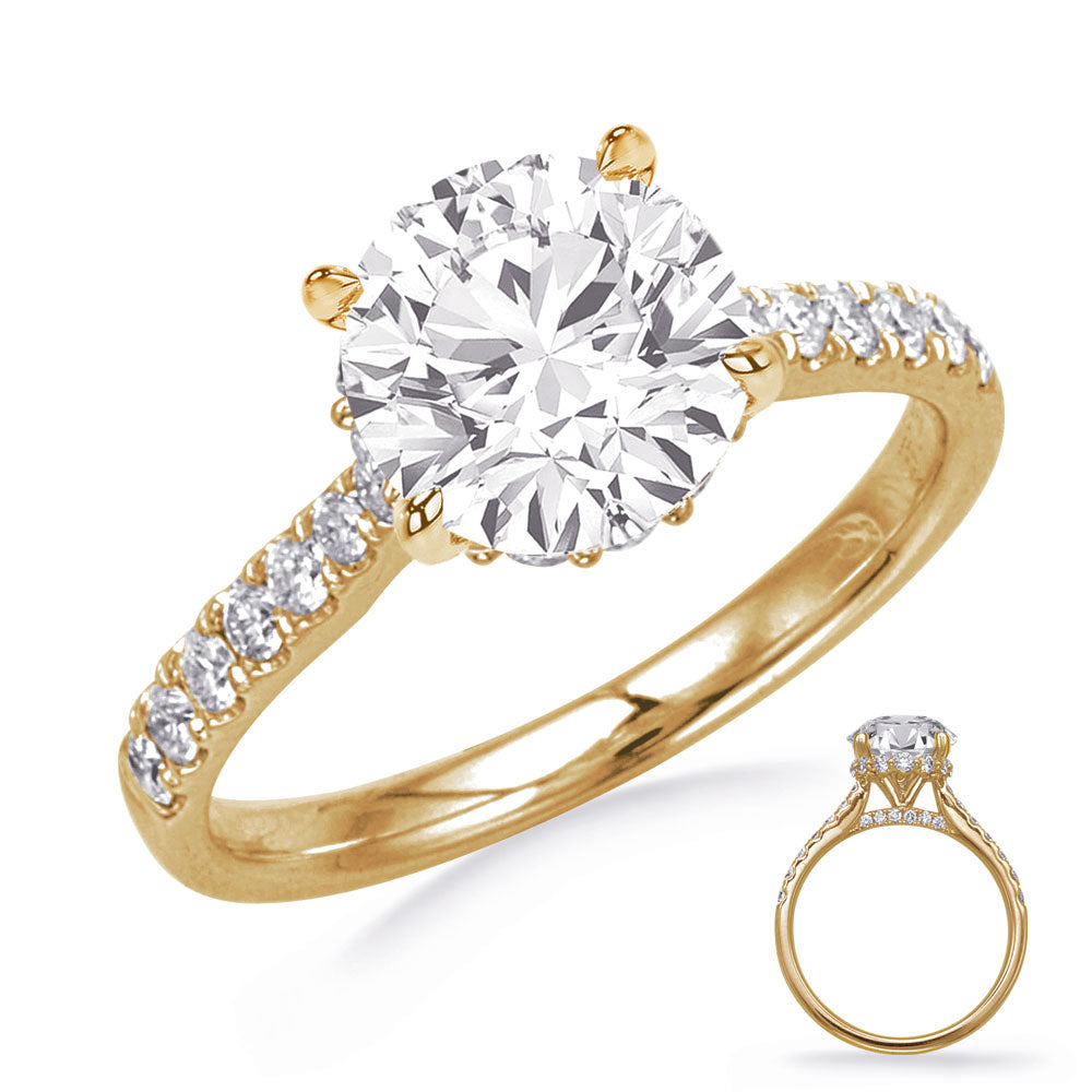 Maeve Cathedral with Hidden Petal Halo Engagement Ring