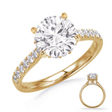 Maeve Cathedral with Hidden Petal Halo Engagement Ring