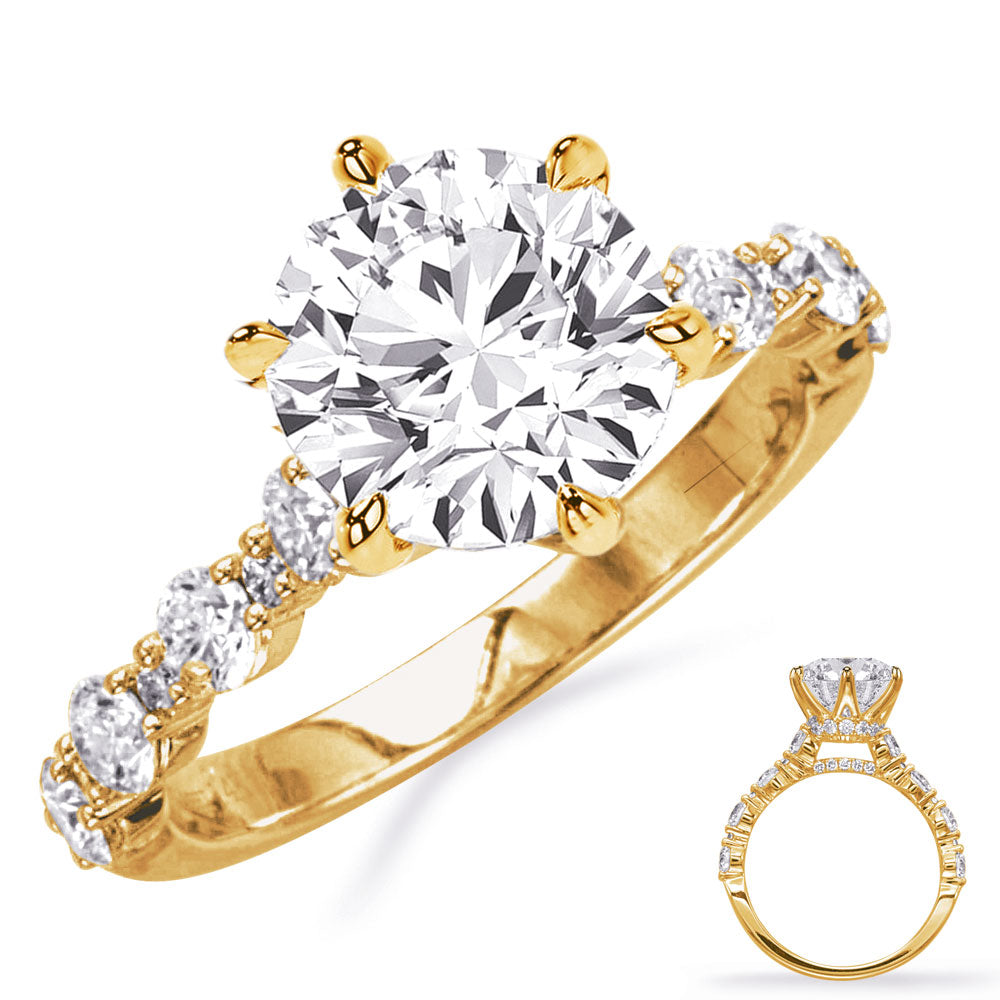 Clara Cathedral Hidden Halo Engagement Ring