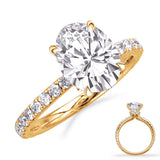 Elena Cathedral Engagement Ring