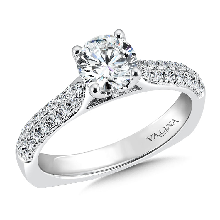Engagement Ring With Side Stones