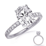 White Gold Engagement Ring